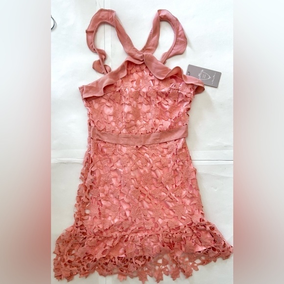 Anthropologie  Lucy Wang Dusty Rose Lace floral Dress size L - Picture 3 of 8
